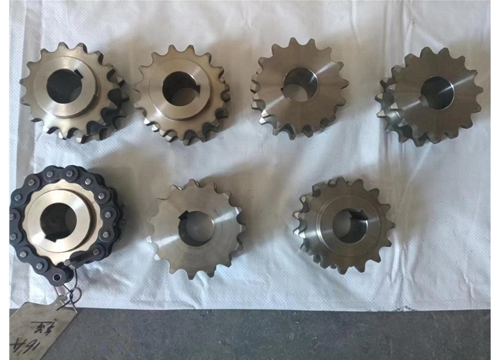 16A  雙驅(qū) 不銹鋼鏈輪